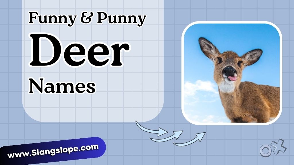 Funny & Punny Deer Names