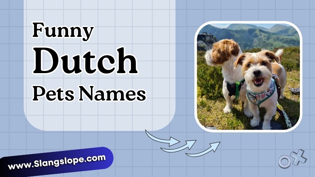 Funny Dutch Names for Pets