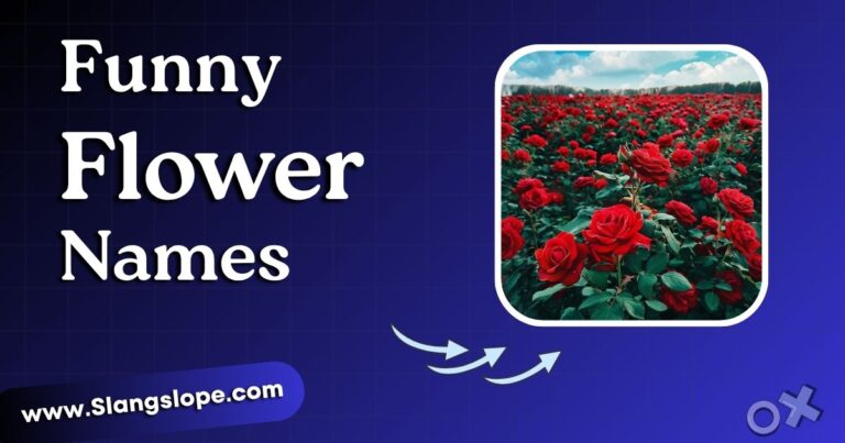 200+ Funny Flower Names That'll Make You Giggle While You Garden