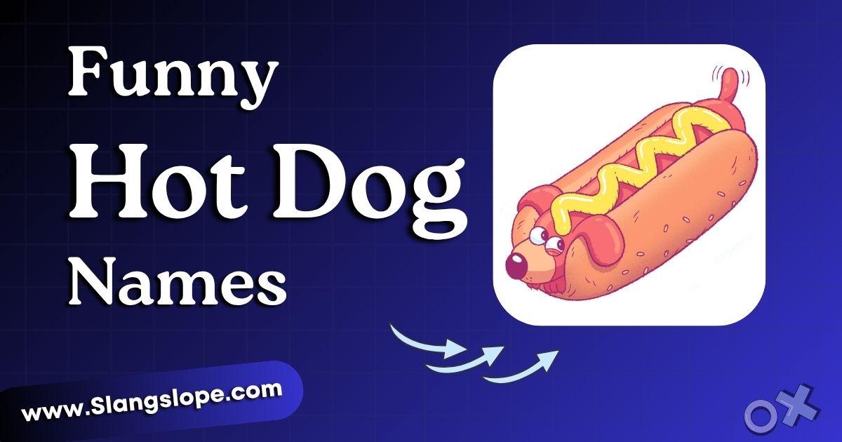 110+ Funny Hot Dog Names That Actually Slap (Ranked & Sorted)