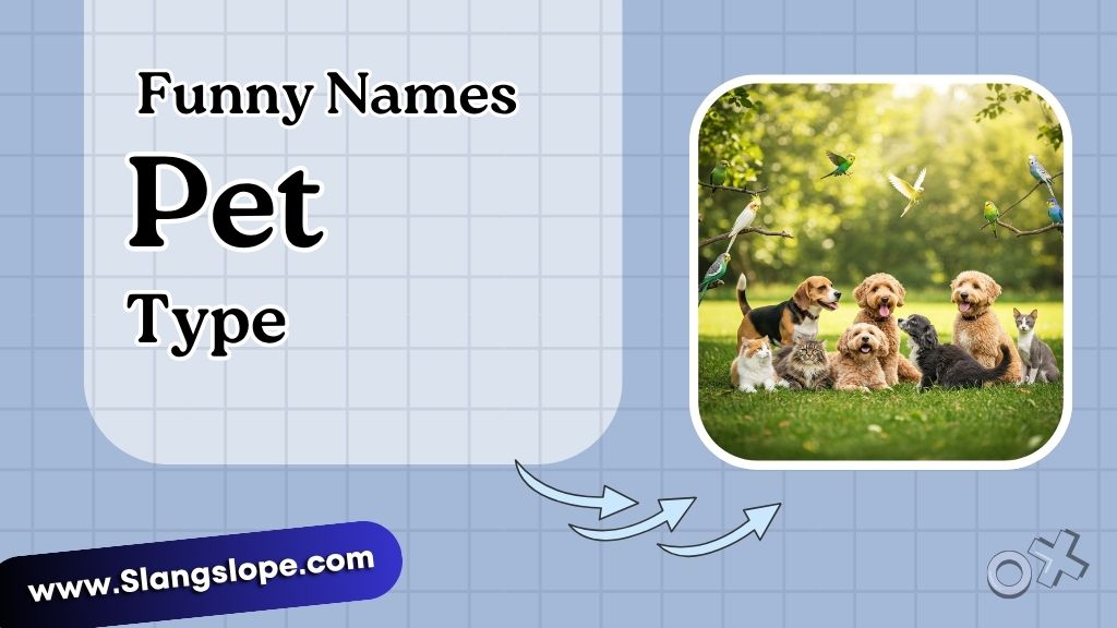Funny Names by Pet Type