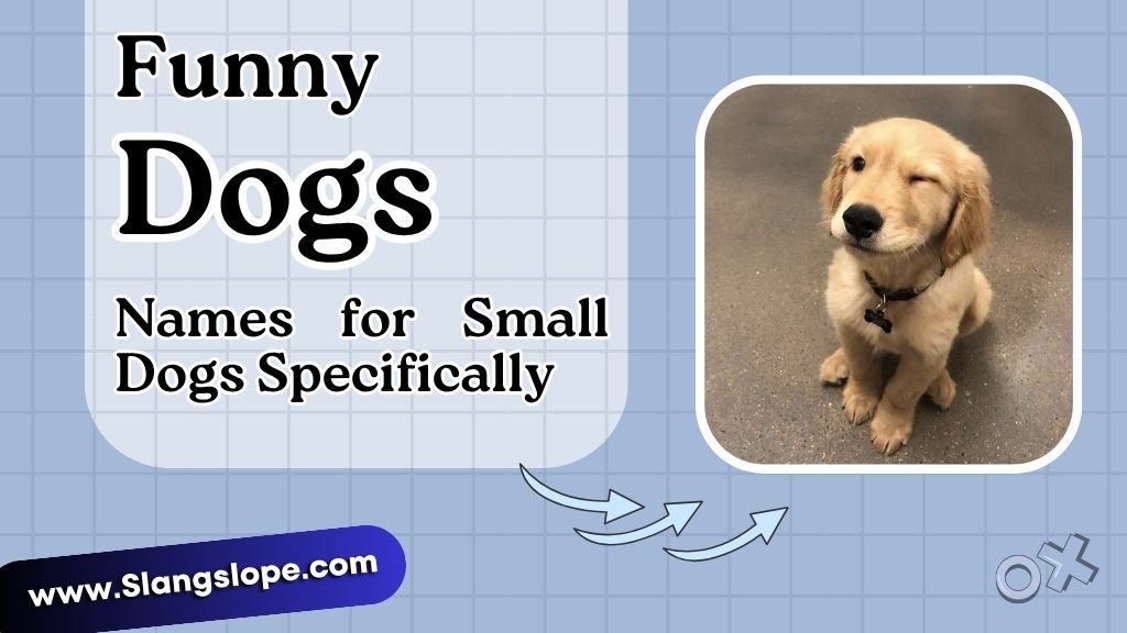 Funny Names for Small Dogs Specifically