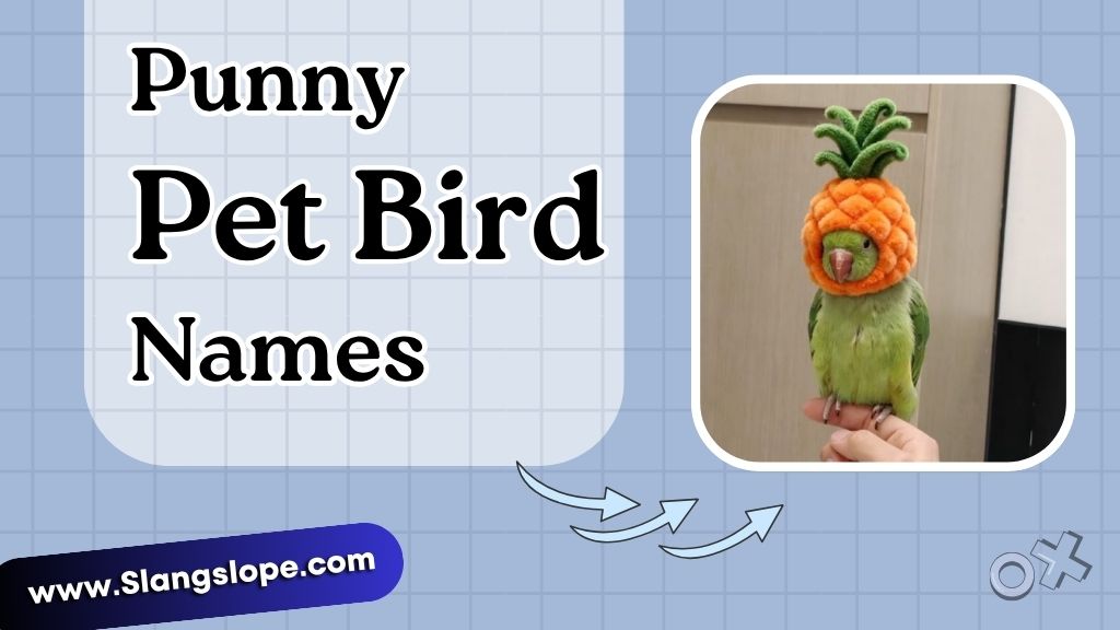 Funny Pet Bird Names (For Your Actual Bird at Home)