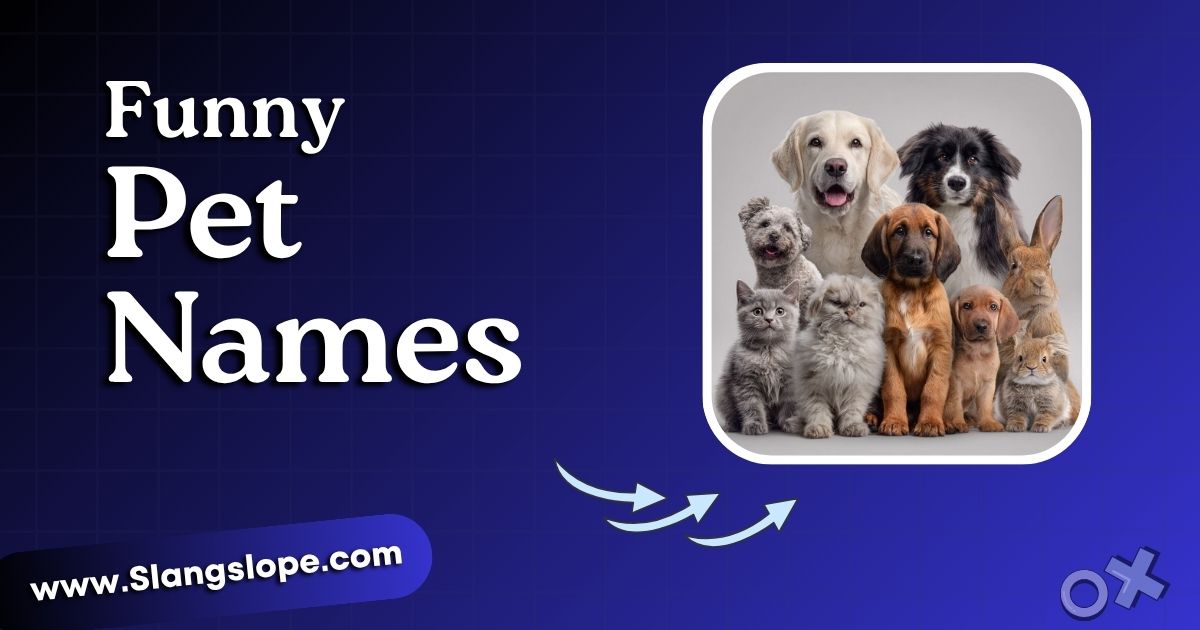 250+ Funny Pet Names That'll Make Everyone Smile (And Actually Suit Your Animal)