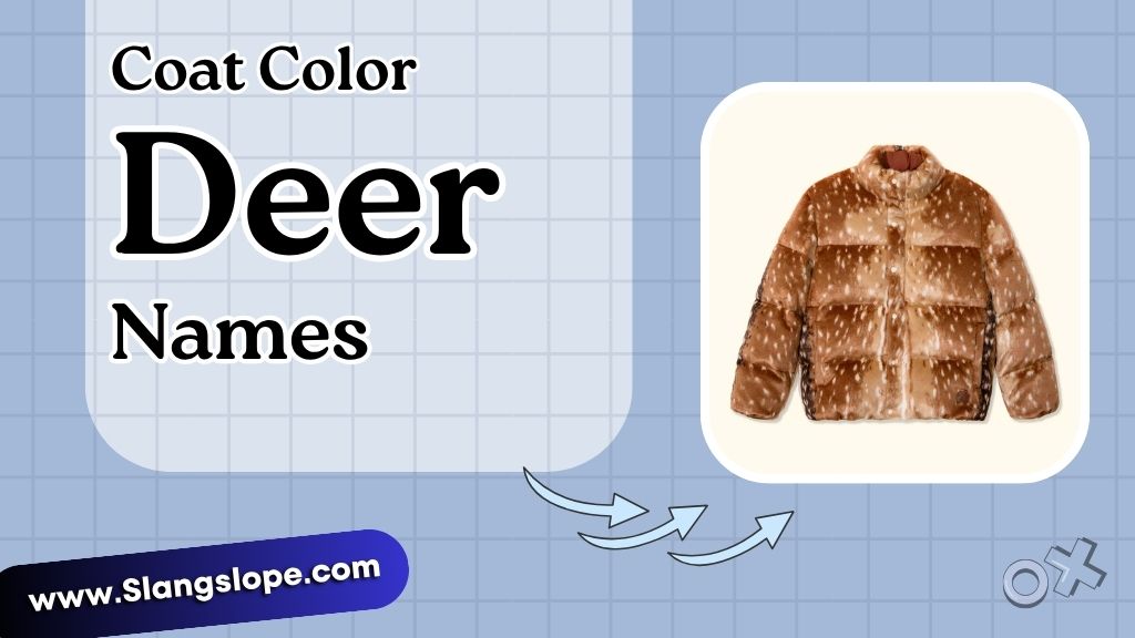 Names for Deer by Coat Color