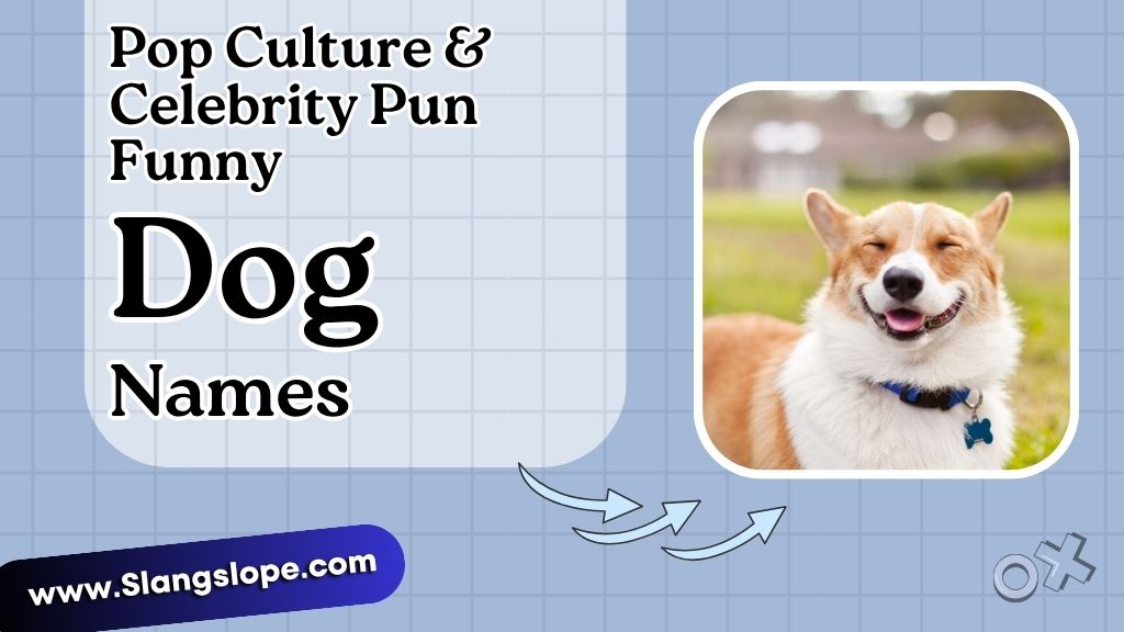 Pop Culture & Celebrity Pun Names