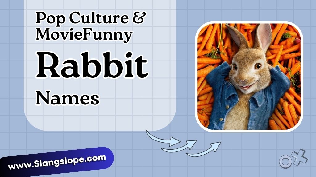 Pop Culture & Movie Funny Rabbit Names