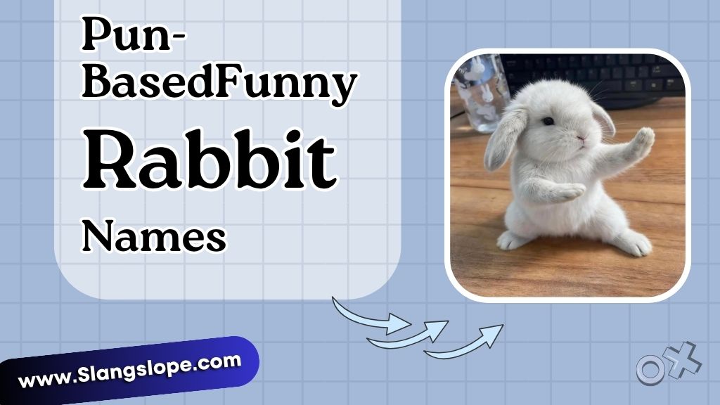 Pun-Based Funny Rabbit Names