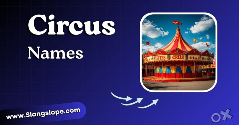 200+ Circus Names That Actually Steal the Show