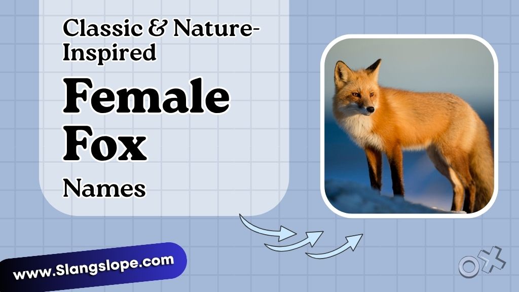 Classic & Nature-Inspired Female Fox Names