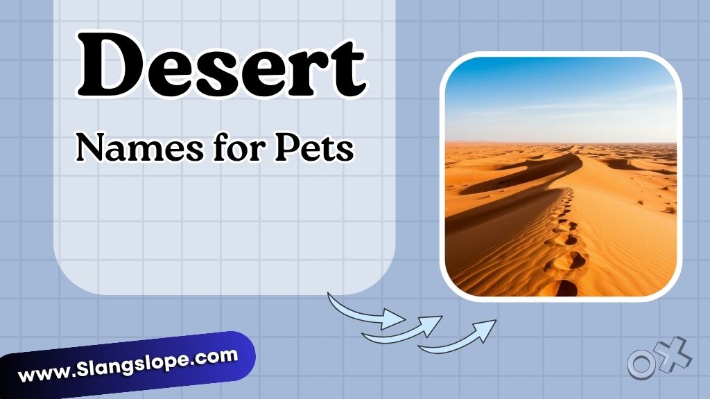Desert Names for Pets