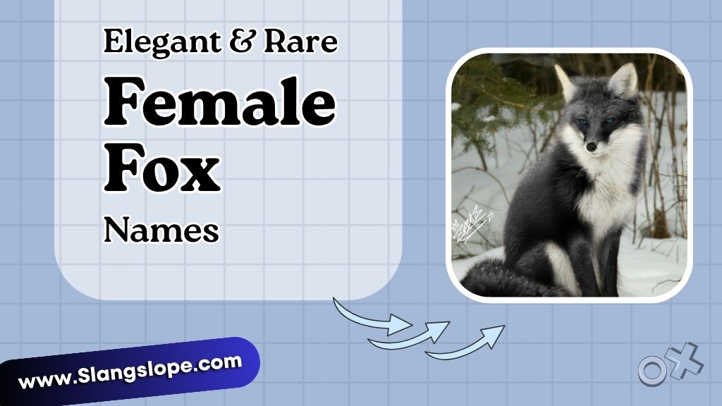 Elegant & Rare Female Fox Names