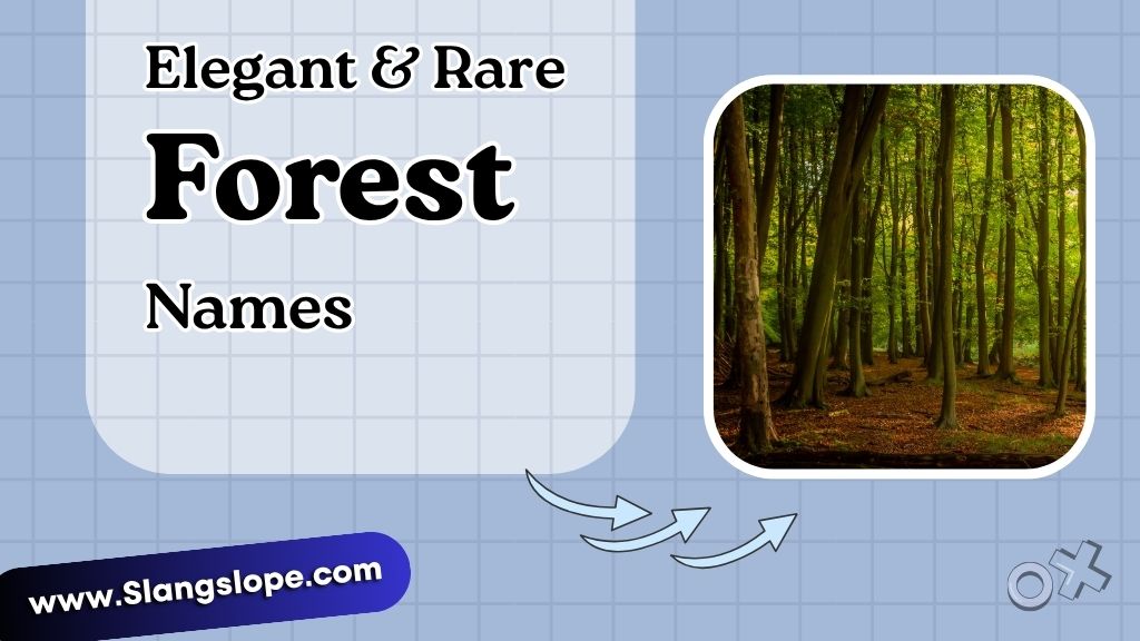 Elegant & Rare Forest Names