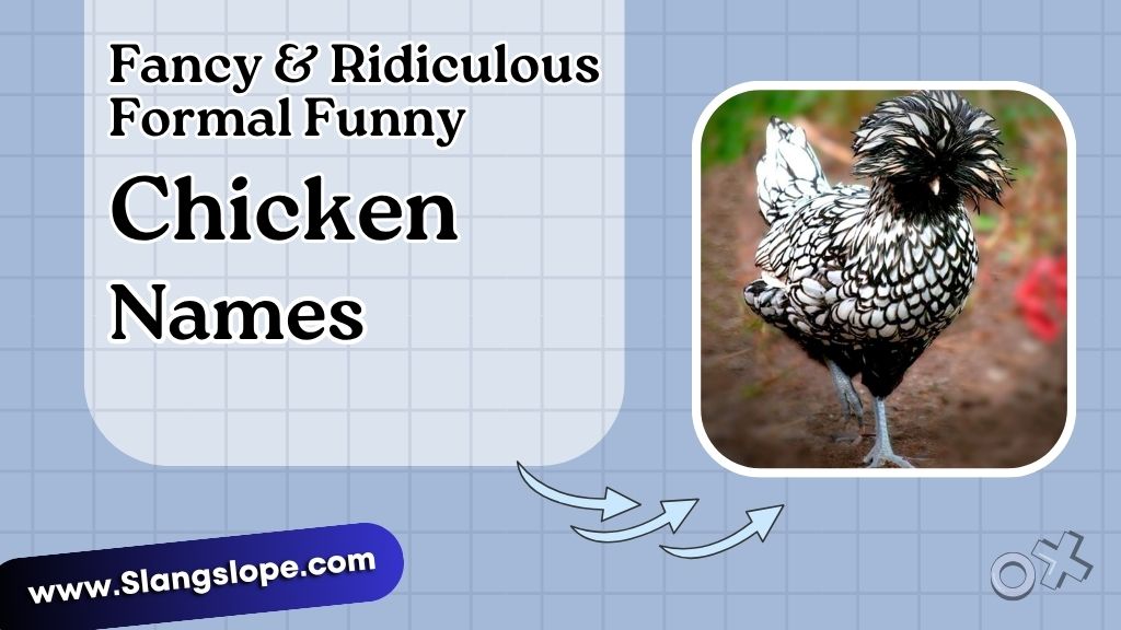 Fancy & Ridiculous Formal Names