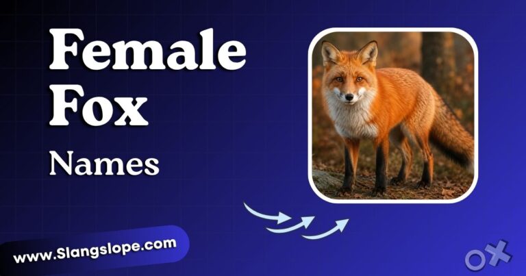 Female Fox Names: 200+ Clever, Cute & Unique Ideas for Your Vixen