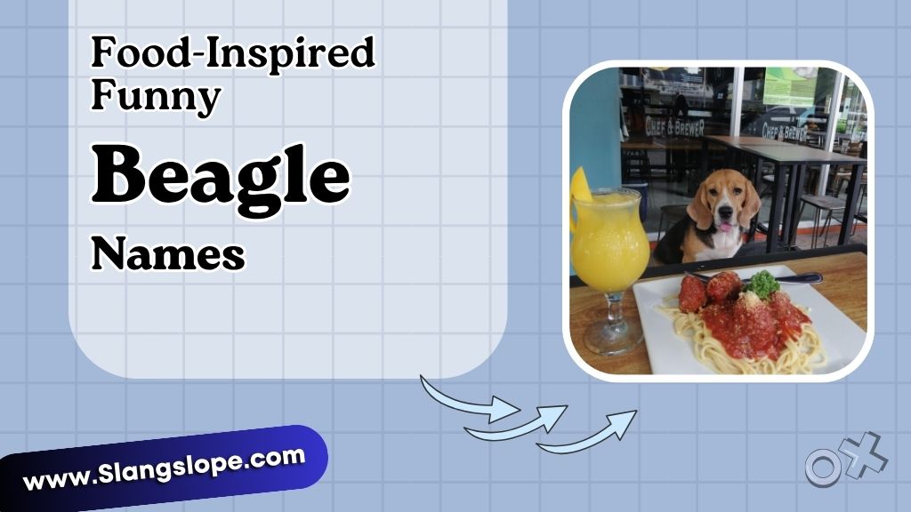 Food-Inspired Funny Beagle Names