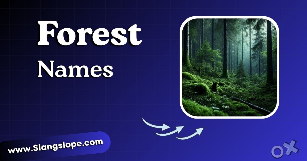 180+ Forest Names That Feel Like a Walk Through the Trees