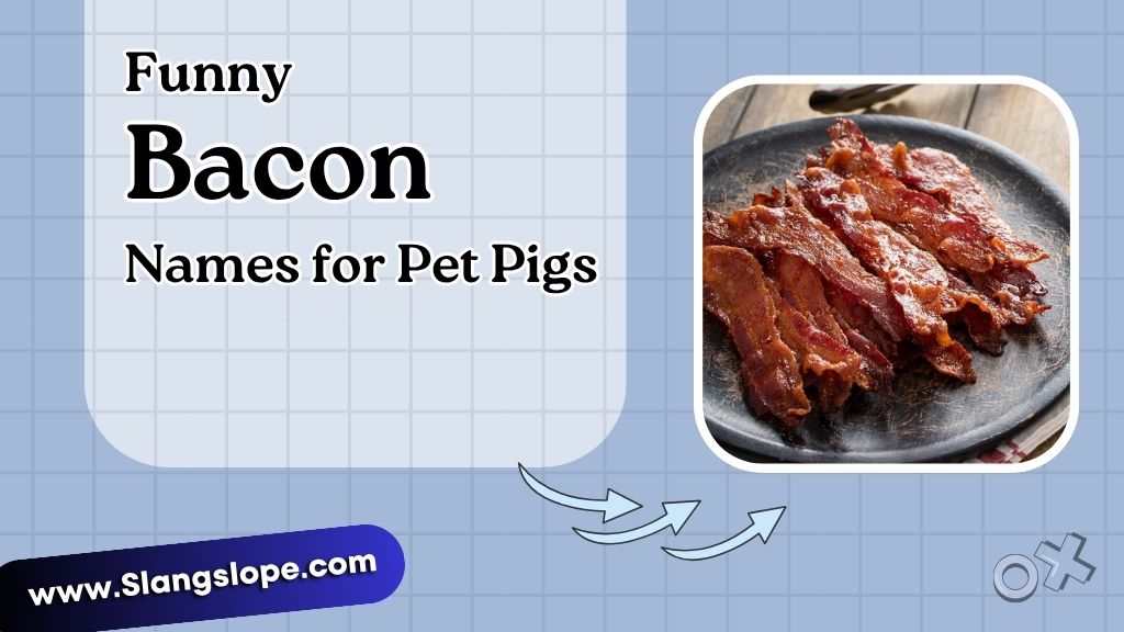 Funny Bacon Names for Pet Pigs