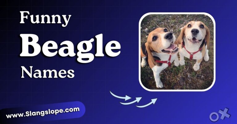 168+ Funny Beagle Names That Actually Suit Their Chaotic Little Personalities