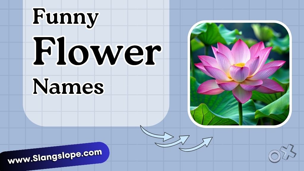 Funny Flower Names for Specific Uses