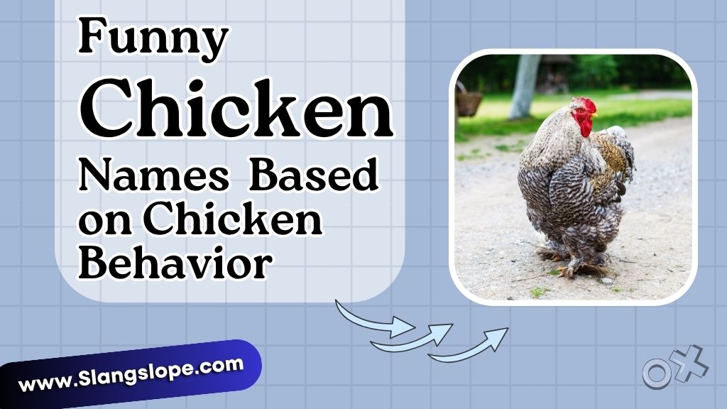 Funny Names Based on Chicken Behavior