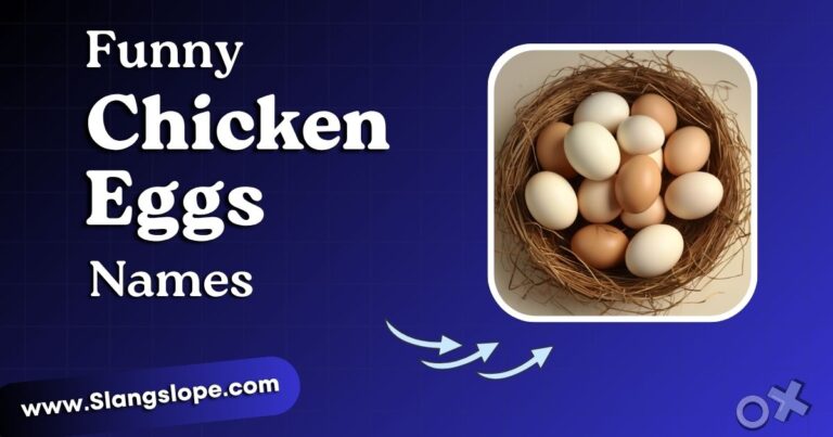 Funny Names for Chicken Eggs: 190+ Clever, Punny & Creative Ideas