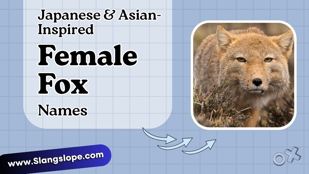 Japanese & Asian-Inspired Fox Names