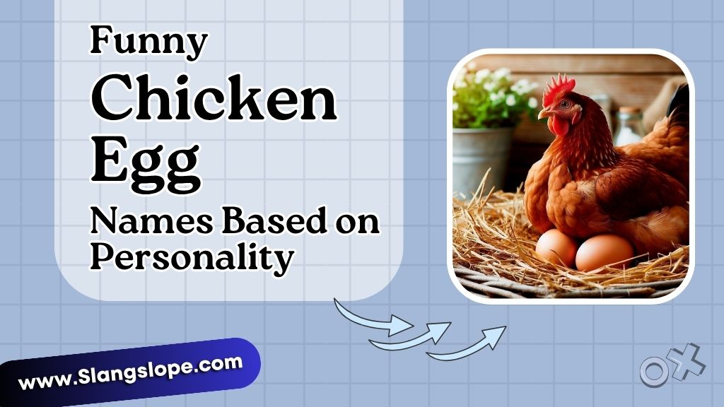 Names Based on Egg Personality (Cooking Style)