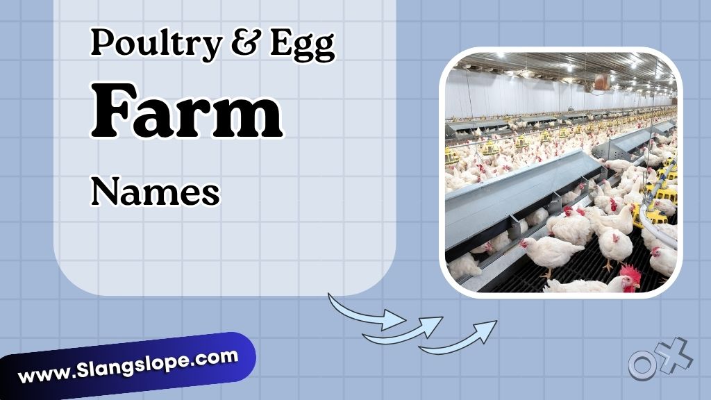 Poultry & Egg Farm Names